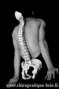 Spcialiste des douleurs de dos. Chiropracteur 77 et colonne vertbrale